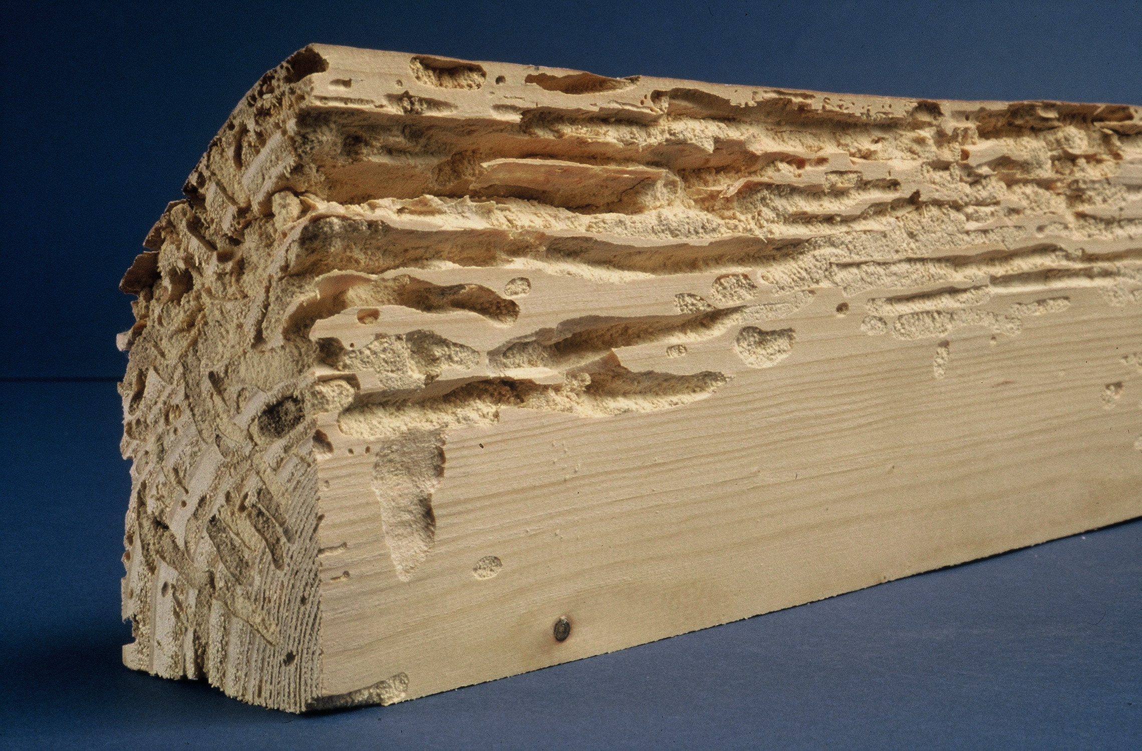 Traitement de charpente, bois à Nancy